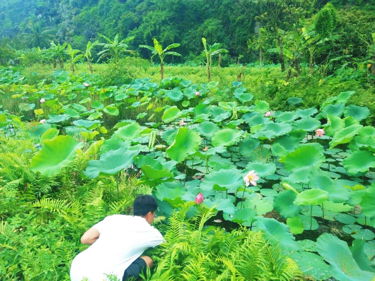 Sunny Trang An Homestay Ninh Binh Dış mekan fotoğraf